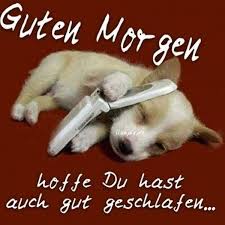 Susse Guten Morgen Spruche Whatsapp Susse Guten Morgen Spruche Whatsapp Susse Guten Morgen Spr Guten Morgen Lustig Lustige Guten Morgen Bilder Guten Morgen Bilder