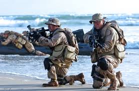 Seal team physical training is based on my personal experience and includes many exercise regimens practiced by navy seals. Navy Special Warfare Operator So Aka Navy Seal 2021 Career Profile