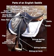 english saddle wikipedia