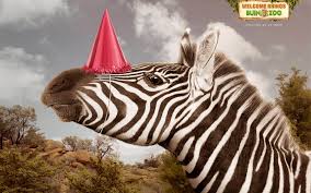 Buin zoo te acompaña en casa (conociendo a los erizos de tierra). Buin Zoo Print Advert By Porta Zebra Ads Of The World