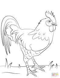 25 Brilliant Photo Of Rooster Coloring Page With Images Chicken Coloring Pages Chicken Coloring Farm Coloring Pages