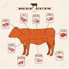 Check spelling or type a new query. Informacion Grafica De Los Cortes De Carne En El Fondo La Luz Ilustraciones Vectoriales Clip Art Vectorizado Libre De Derechos Image 33256808