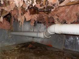 It's problems and the new alternatives. Take Advantage Of These Alternatives To Fiberglass Insulation News And Events For Ayers Basement Systems