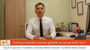 tup bebek transferinden sonra gebelik ne zaman belli olur doc dr turgut aydin youtube