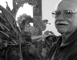 Sonnenberg Public School #10 reunion