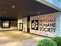 Humane Society Exterior Sign Humane Society Design Humane Society Construction Design