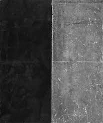 Bildergebnis für Carole Seborovski