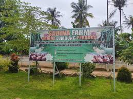 Taman agrowisata ini dibangun dengan tujuan untuk wisata agro dan juga sebagai tempat penelitian budidaya tanaman buah unggul. Mau Cobain Sensasi Metik Buah Naga Kuy Ke Agrowisata Sabina Farm Lumbung Di Karang Anyar Konkrit News