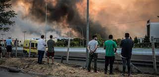 Το φορτηγό μεταξύ άλλων, είχε μέσα και ζώα, τα οποία έβγαλε ένα ένα ο οδηγός, μ περισσότερα. Wmhdfeecez1sqm