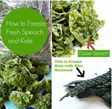 Not sure how to keep spinach? How To Freeze Spinach And Kale Recipe For Joe S Special