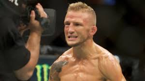 Ufc heavyweight rankings 2020 the most popular names that where they won the heavyweight championship like as josh barnett, randy couture, andre arlovski, frank mir, cain velasquez, brock lesnar, fabricio wedrum. How Every Ufc Weight Class Title Will Be Decided Over The Next Year