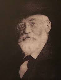 Image result for Gonatopus petiolulatus