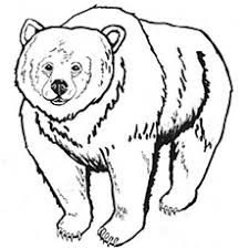 Will you chose cute bear cub ? Top 10 Free Printable Brown Bear Coloring Pages Online