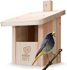 Pin Von Margot Brunsteiner Auf Nistkasten Nistkasten Gartenrotschwanz Nistkasten Selber Bauen