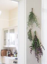 Maybe you would like to learn more about one of these? How To Dry Herbs