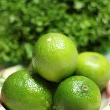 Lime De Tahiti Terrarium Pour Plantes Grasses Arbre Fruitier Plantes Mediterraneennes