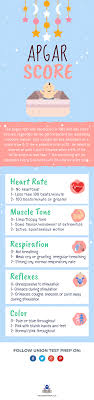 Newborn Baby Breathing Rate Newborn Baby