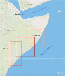 Image result for Rytigynia sp. M