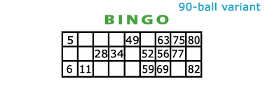 In a physical establishment, usually only one type of bingo is available. Bingo Rules In 3 Min Video How To Play Bingo