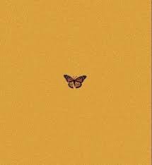 Check spelling or type a new query. Yellow Butterfly Background Aesthetic 735x801 Wallpaper Teahub Io