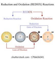 Image result for Redox Reaction