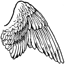 You can print out this owl 1 coloring pagev or color it online with our coloring machine. Bird Wings Coloring Pages Wing Of A Bird Clipart Printable Coloring4free Coloring4free Com