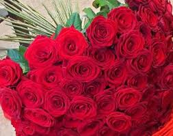 The 2018 fifa world cup was the 21st fifa. 100 Rose Rosse Gambo Lungo Rose Catalogo Giornimagici Fioreria