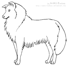 Also you can search for other artwork with our tools. Lineart Rough Collie By Anbu Flashez On Deviantart