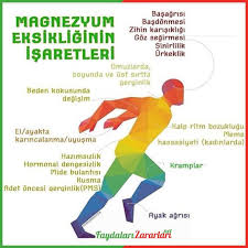 Mahmure Mahmur Adli Kullanicinin Faydali Bilgiler Panosundaki Pin Saglik Saglik Ipuclari Dogal Saglik