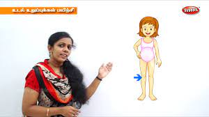 Women back body parts 12 photos of the women back body parts , reproductive. Learn Human Body Parts For The Body For Kids In Tamil Preschool Learning à®‰à®Ÿà®² à®‰à®± à®ª à®ª à®•à®³ Youtube