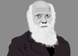 Learning — Blog — Investment Masters Class