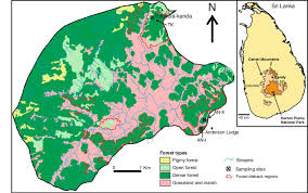 The back considered as the seat of one's awareness of duty or failings get off my back. Map Showing Forest Types Die Back Areas And Location Of Sampling Sites Download Scientific Diagram