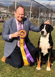 On our website you will find information about the breed as well as updates of our kennel activities, such as our show wins and upcoming litters. News 2019 Trout Creek Swiss Mountain Dogs