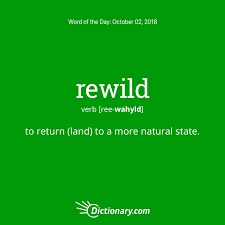 Word Of The Day Rewild Dictionary Com Unusual Words Uncommon Words Nature Words