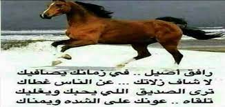 بَصيرٌ بتركِ الجُودِ فِي مُستَحَقِّهِ وَ مَا كُلُّ من يُعطِي الجَزِيلَ جَوَادُ لَقد زدتَ هذا الدَّهرَ حُسناً وَ هَيبَةً كَأنَّكَ…. Ù‚ØµÙŠØ¯Ø© Ù…Ø¯Ø­ ÙÙŠ Ø±Ø¬Ù„ ÙƒØ±ÙŠÙ… Ù‚ØµÙŠØ±Ù‡ Ù…Ù‚Ø§Ù„