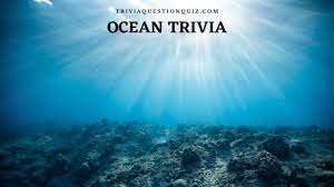 A large collection of ocean trivia questions and answers. 50 Useful Ocean Trivia Mcq Questions For General Knowledge Trivia Qq