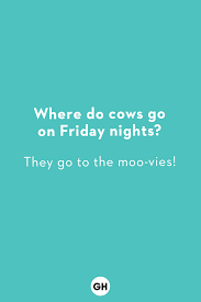 The Best Jokes For Kids Family Friendly Gags Knock Knock Jokes And Riddles Need some funny jokes for kids? the best jokes for kids family