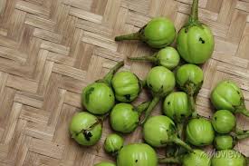 Image result for Solanum aethiopicum