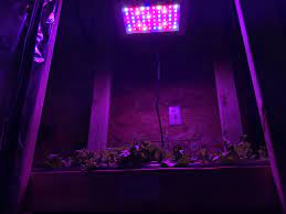 Check spelling or type a new query. Marshydro 300 Watt Led Review Perfect For Hydroponic Beginners Hobbyists Nosoilsolutions