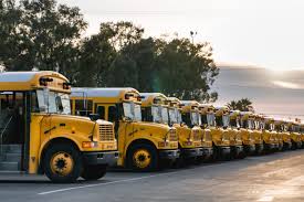 Image result for School Bus Yellow 2018 Fleet
