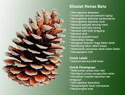 Get relief you can count on. 6 Faedah Dan Khasiat Yang Luar Biasa Tentang Nenas Batu Eratuku