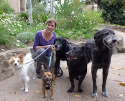 Maybe you would like to learn more about one of these? Angel Paws Pet Cremation In Home Euthanasia Services Angel Paws Pet Cremation