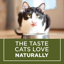 Purina Cat Chow Hairball Healthy Weight Indoor Natural Dry Cat Food Naturals Indoor 6 3 Lb Bag Pricepulse