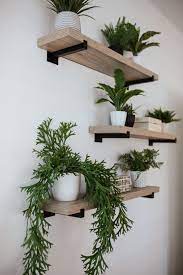 Plant Shelves Plant Wall Decor Plant Decor Indoor House Plants Decor