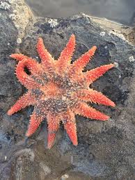 Rob follett (@FollettRob)