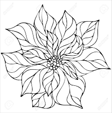 100% free flowers coloring pages. Poinsettia Flower Christmas Star Vector Element Christmas Symbol Coloring Book Royalty Free Cliparts Vectors And Stock Illustration Image 156440240