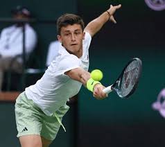 Andrea Pellegrino