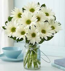 Daisies Daisy Centerpieces Daisy Flower Arrangements Daisy Bouquet