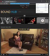 Web Gallery Downloader - How to download videos from BoundHub.com