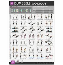 B 653 Dumbbell Workout Body Exercise Health Strengthen Chart